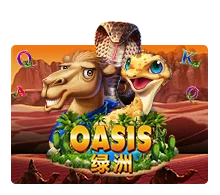 Oasis