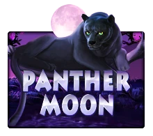 Panther Moon